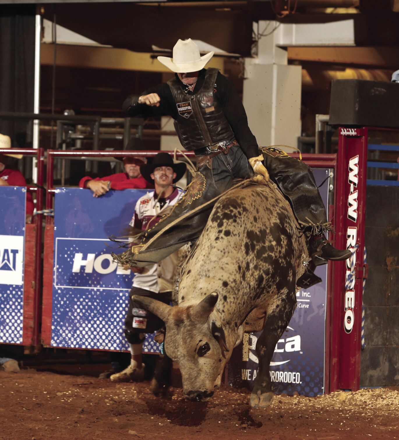 bullride